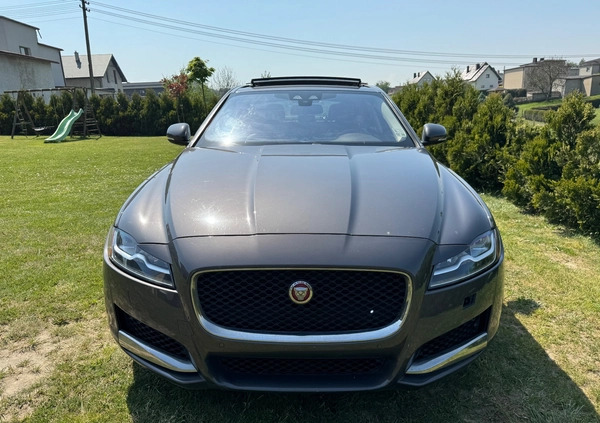 Jaguar XF cena 48900 przebieg: 70382, rok produkcji 2016 z Szczecinek małe 667